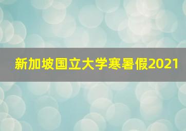 新加坡国立大学寒暑假2021