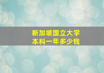 新加坡国立大学本科一年多少钱