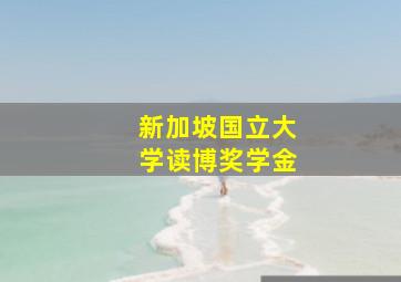 新加坡国立大学读博奖学金