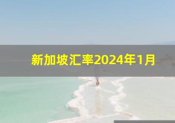 新加坡汇率2024年1月