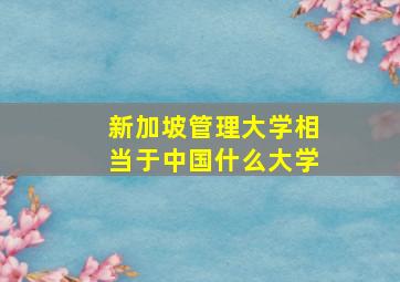 新加坡管理大学相当于中国什么大学