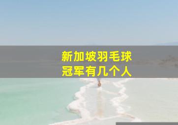 新加坡羽毛球冠军有几个人