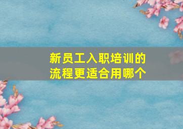 新员工入职培训的流程更适合用哪个