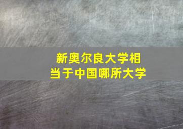 新奥尔良大学相当于中国哪所大学