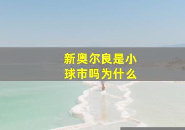 新奥尔良是小球市吗为什么