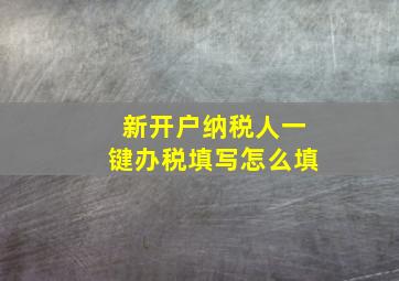 新开户纳税人一键办税填写怎么填