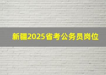 新疆2025省考公务员岗位