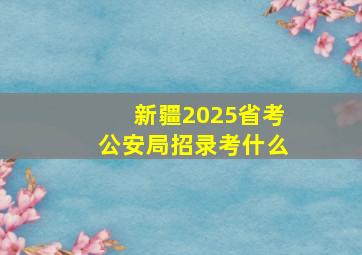 新疆2025省考公安局招录考什么