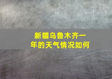 新疆乌鲁木齐一年的天气情况如何