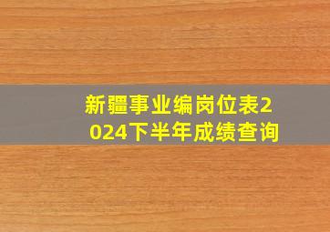 新疆事业编岗位表2024下半年成绩查询