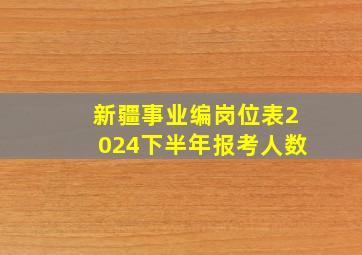 新疆事业编岗位表2024下半年报考人数