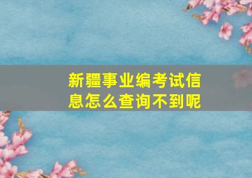 新疆事业编考试信息怎么查询不到呢