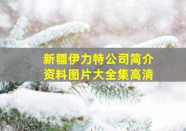 新疆伊力特公司简介资料图片大全集高清