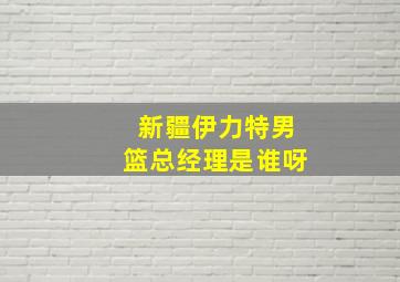 新疆伊力特男篮总经理是谁呀