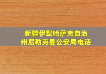 新疆伊犁哈萨克自治州尼勒克县公安局电话