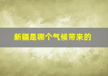 新疆是哪个气候带来的