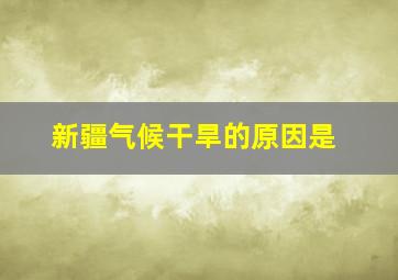 新疆气候干旱的原因是