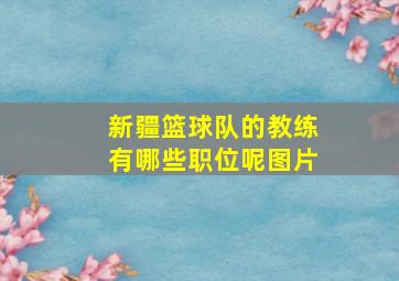 新疆篮球队的教练有哪些职位呢图片