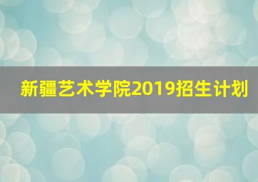 新疆艺术学院2019招生计划