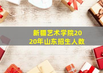 新疆艺术学院2020年山东招生人数