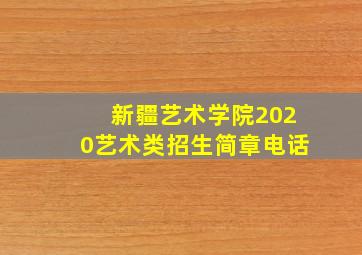 新疆艺术学院2020艺术类招生简章电话