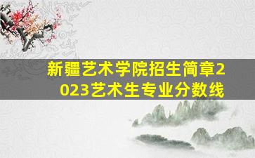 新疆艺术学院招生简章2023艺术生专业分数线