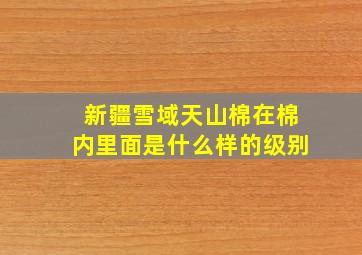 新疆雪域天山棉在棉内里面是什么样的级别