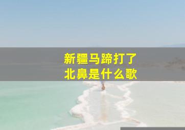 新疆马蹄打了北鼻是什么歌