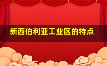 新西伯利亚工业区的特点