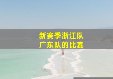 新赛季浙江队广东队的比赛