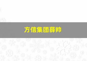 方信集团薛帅