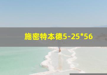 施密特本德5-25*56