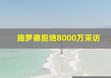 施罗德拒绝8000万采访