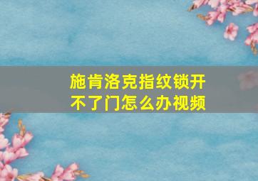 施肯洛克指纹锁开不了门怎么办视频