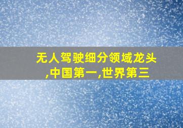 无人驾驶细分领域龙头,中国第一,世界第三