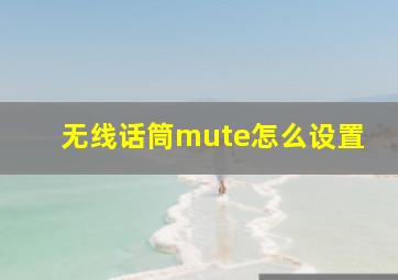 无线话筒mute怎么设置