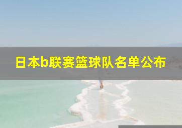 日本b联赛篮球队名单公布