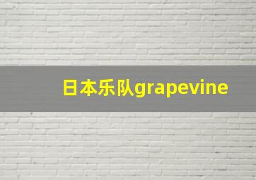 日本乐队grapevine