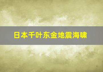 日本千叶东金地震海啸