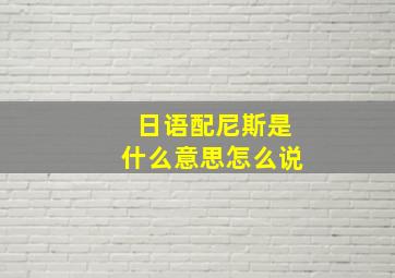 日语配尼斯是什么意思怎么说