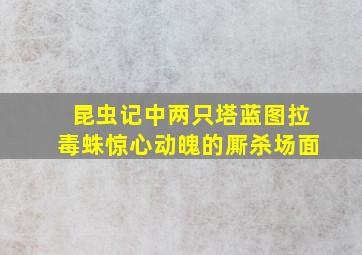 昆虫记中两只塔蓝图拉毒蛛惊心动魄的厮杀场面