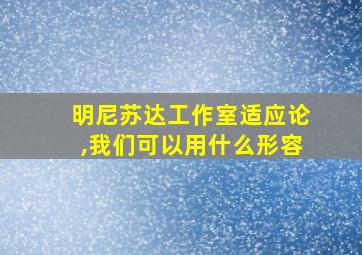 明尼苏达工作室适应论,我们可以用什么形容