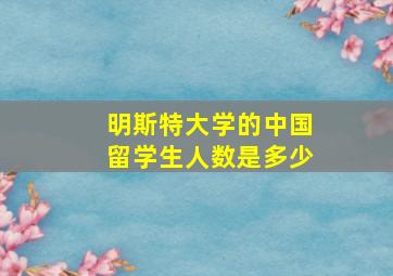 明斯特大学的中国留学生人数是多少