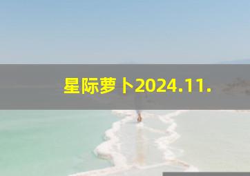 星际萝卜2024.11.