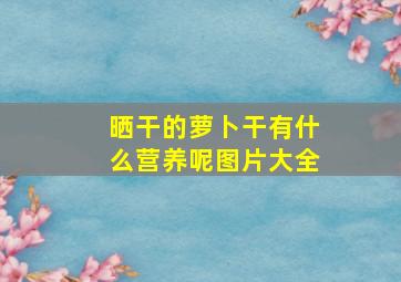 晒干的萝卜干有什么营养呢图片大全