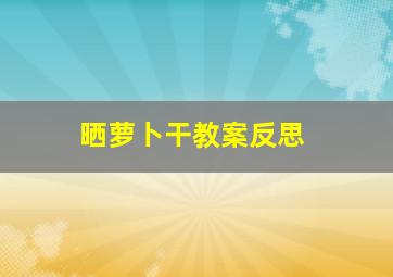 晒萝卜干教案反思