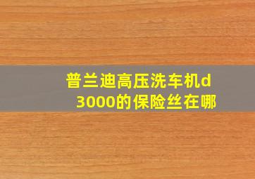 普兰迪高压洗车机d3000的保险丝在哪