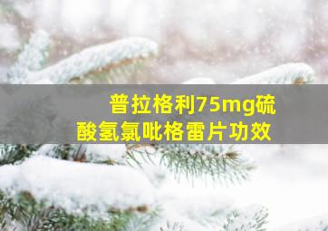 普拉格利75mg硫酸氢氯吡格雷片功效