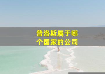 普洛斯属于哪个国家的公司