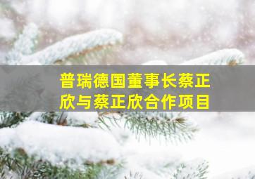 普瑞德国董事长蔡正欣与蔡正欣合作项目